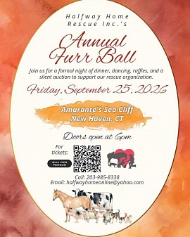 HHR 2024 Anniversary Furr Ball